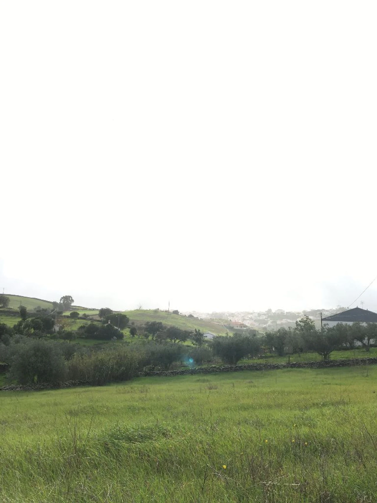 Terreno para Venda em Brochas Foto 2