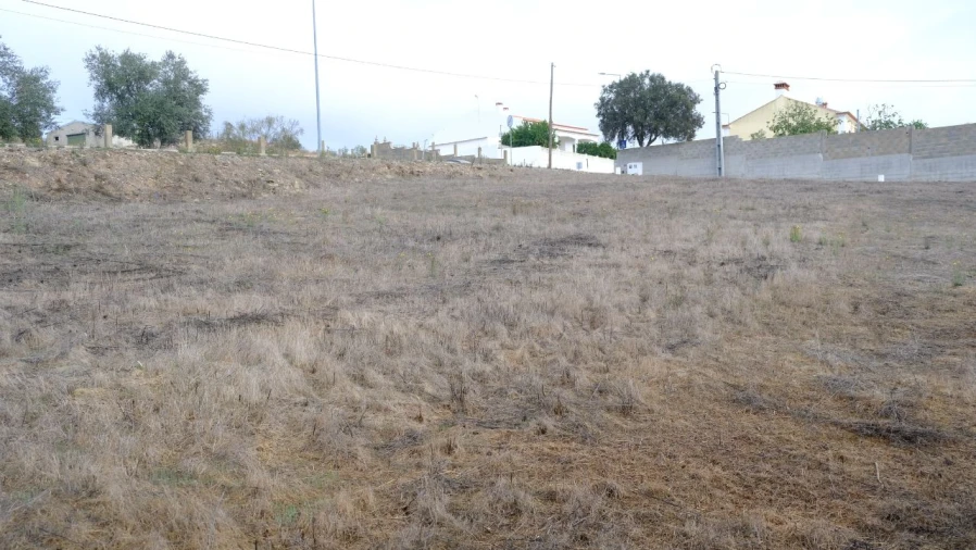 Terreno para Venda em Brochas Foto 7