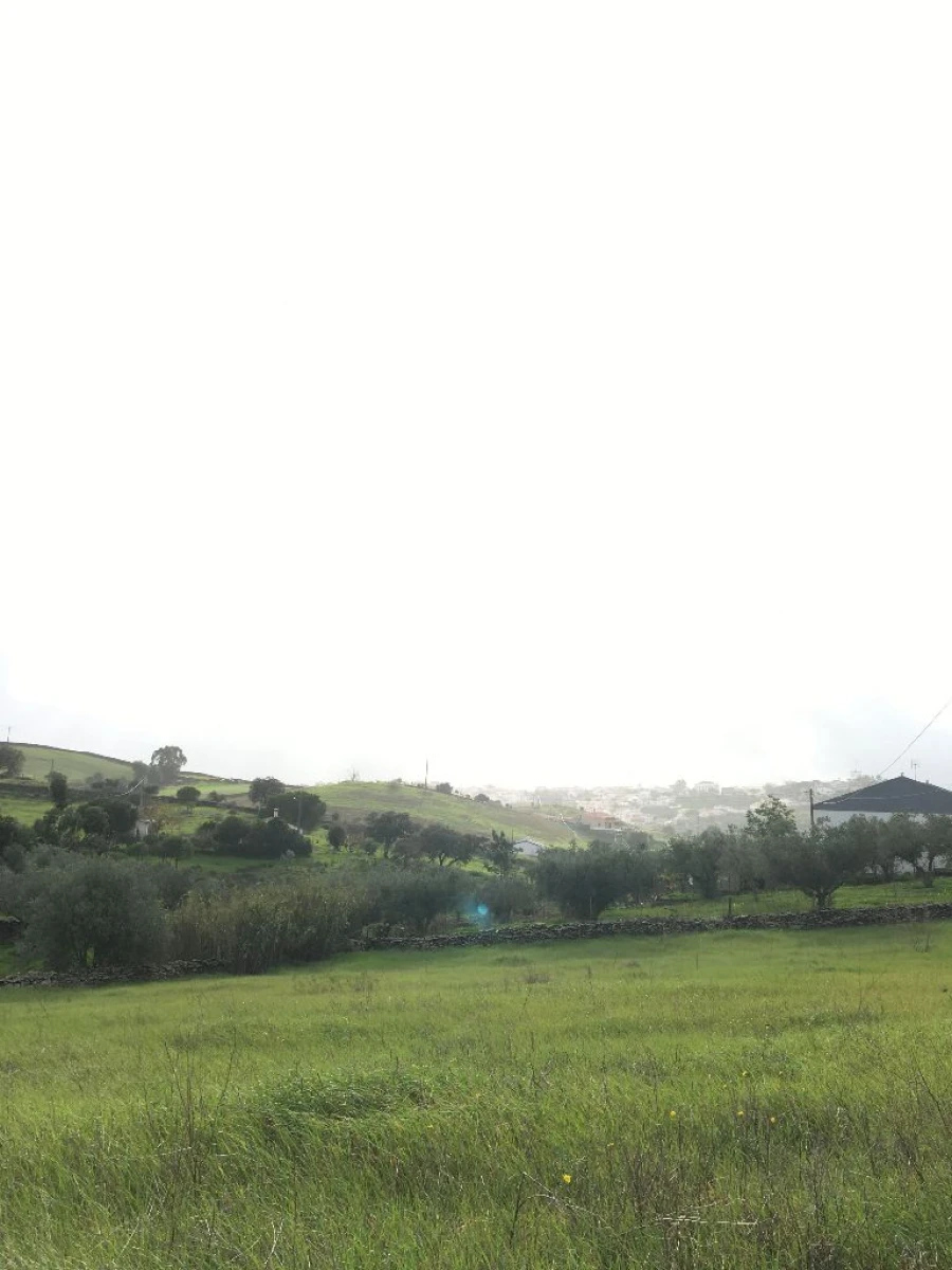 Terreno para Venda em Brochas Foto 2