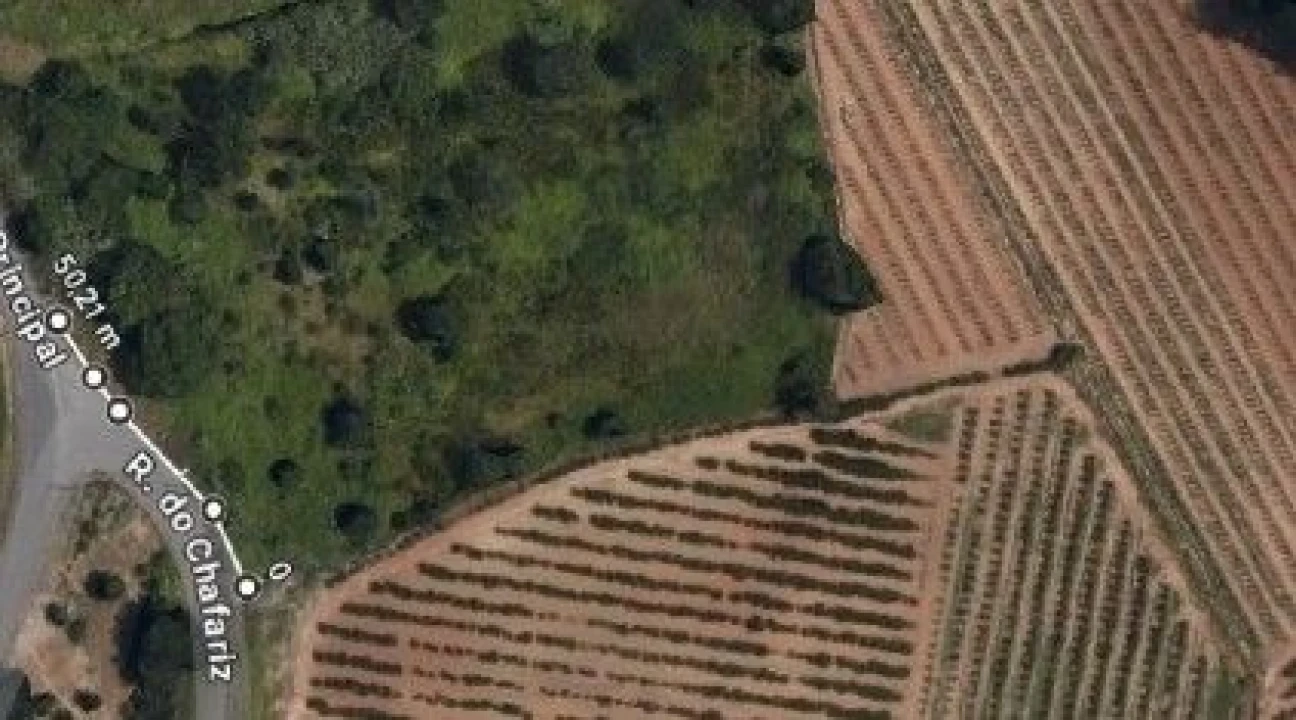 Terreno para Venda em salir de Matos Foto 4