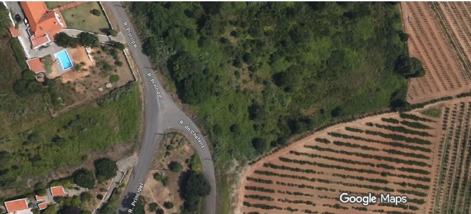 Terreno para Venda em salir de Matos Foto 7