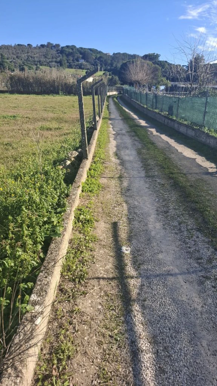Terreno para Venda em Azeitão Foto 3