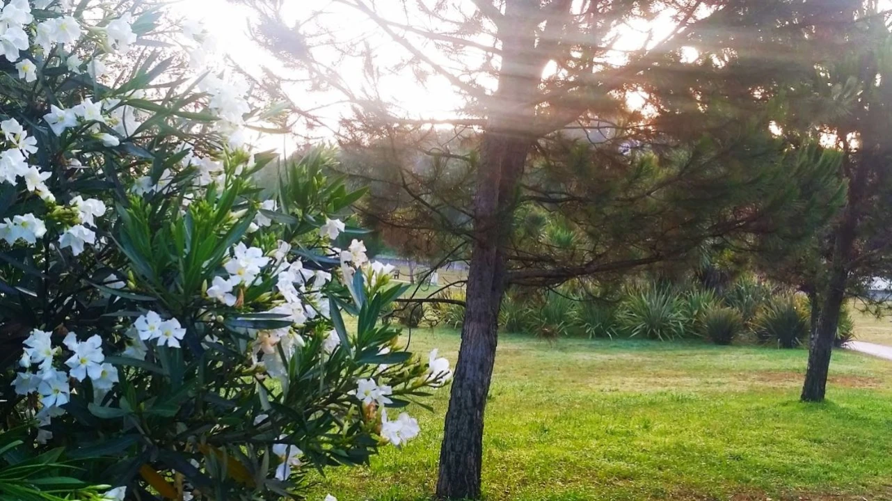 Quarto para Arrendamento em Vila Nova de Famalicão Foto 7