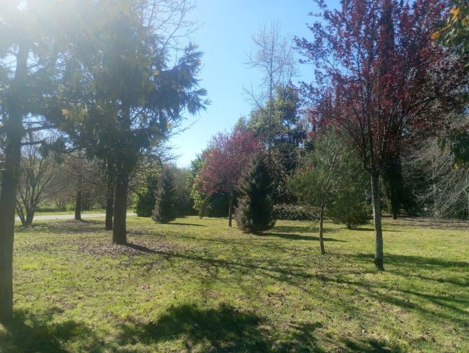 Quarto para Arrendamento em Vila Nova de Famalicão Foto 8