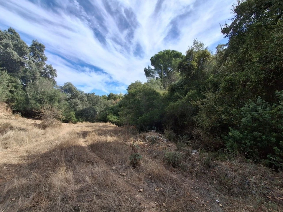Terreno Misto para Venda em Zibreira Foto 1