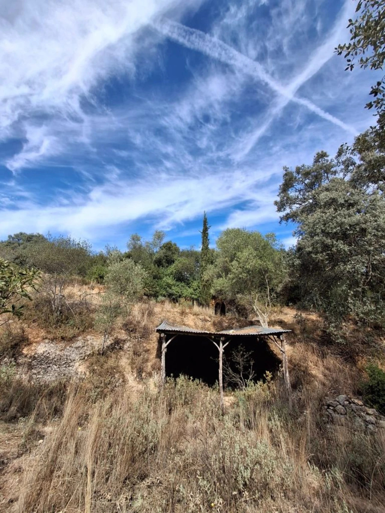 Terreno Misto para Venda em Zibreira Foto 3