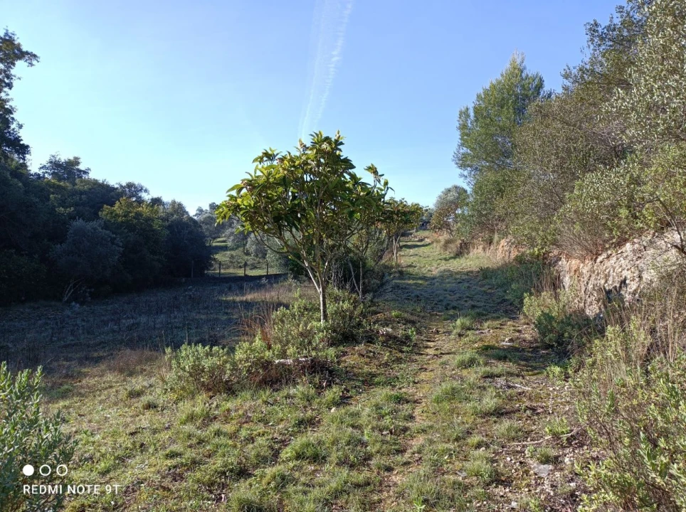 Terreno Misto para Venda em Zibreira Foto 4