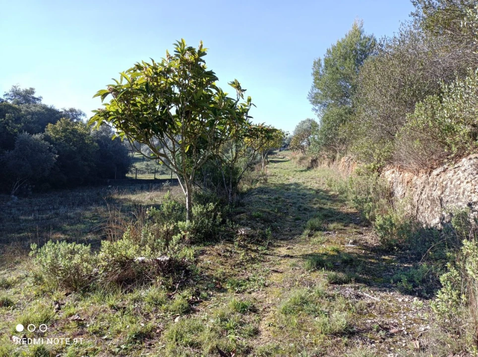 Terreno Misto para Venda em Zibreira Foto 10