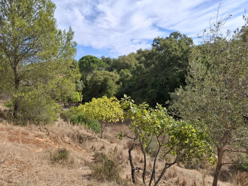 Terreno Misto para Venda em Zibreira Foto 11