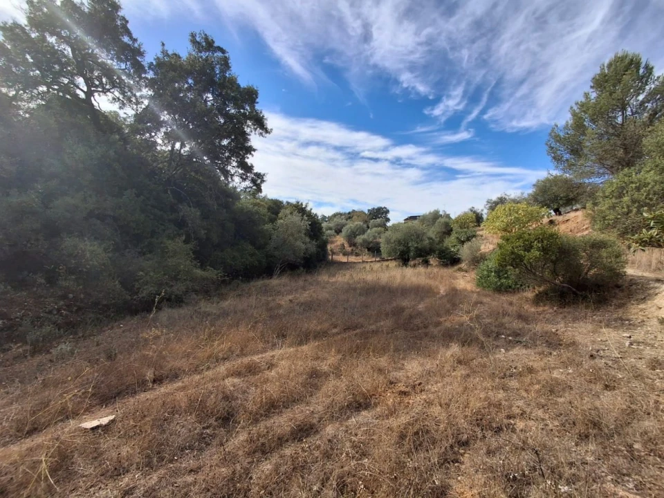 Terreno Misto para Venda em Zibreira Foto 14