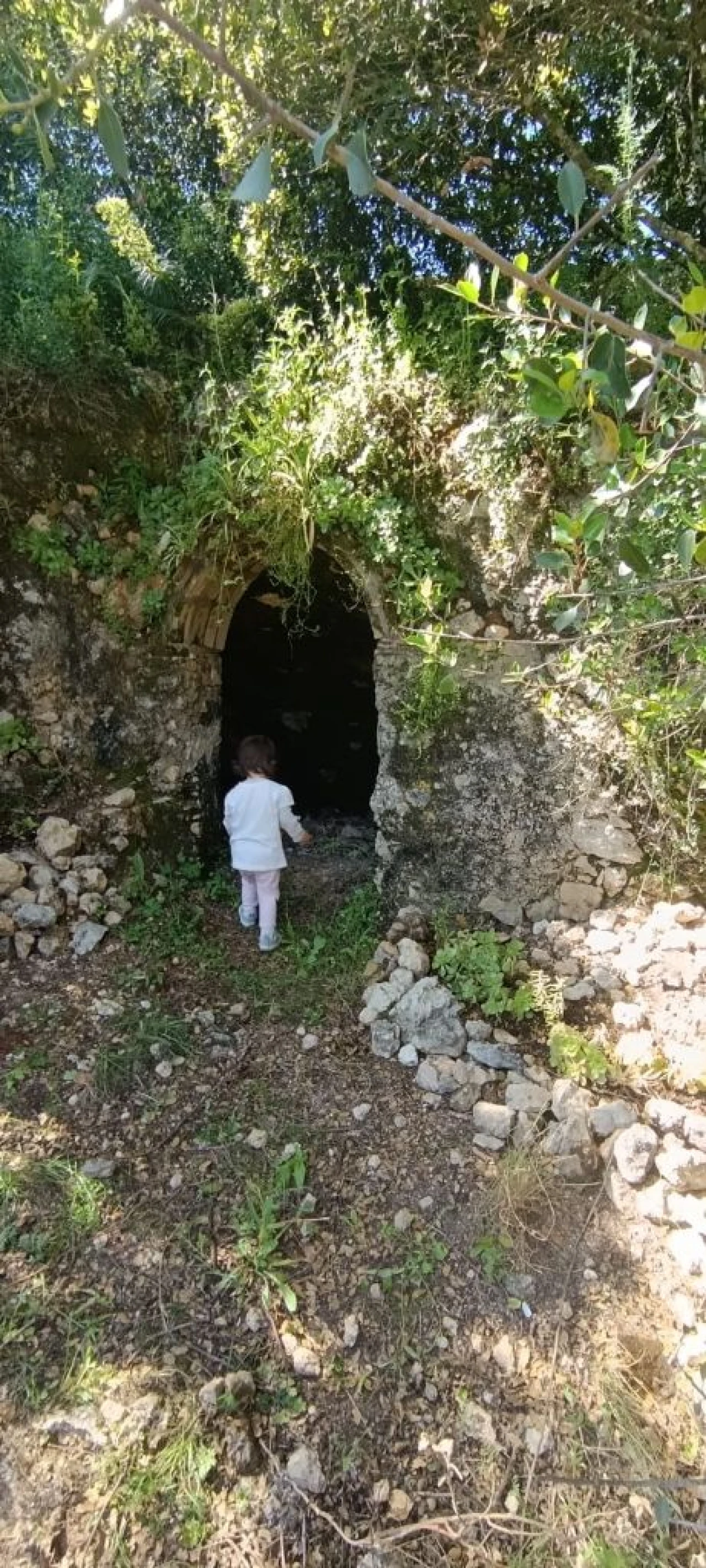 Terreno Misto para Venda em Zibreira Foto 28
