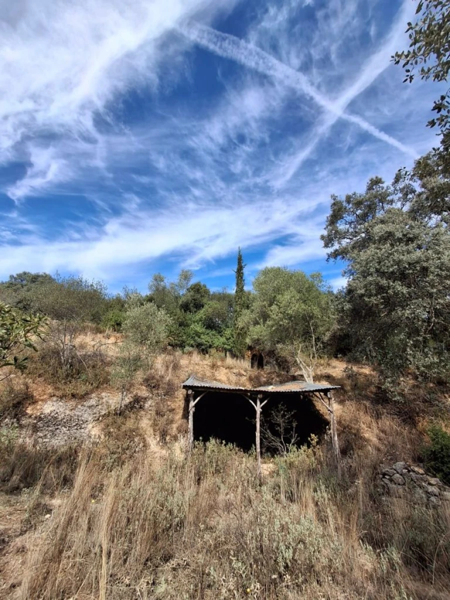 Terreno Misto para Venda em Zibreira Foto 3
