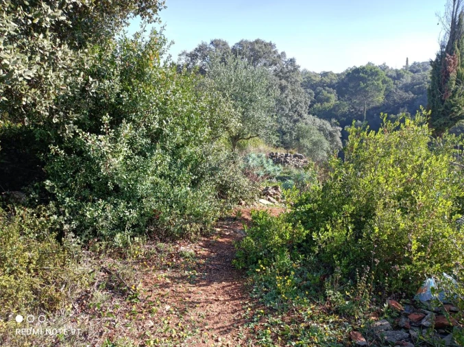 Terreno Misto para Venda em Zibreira Foto 2