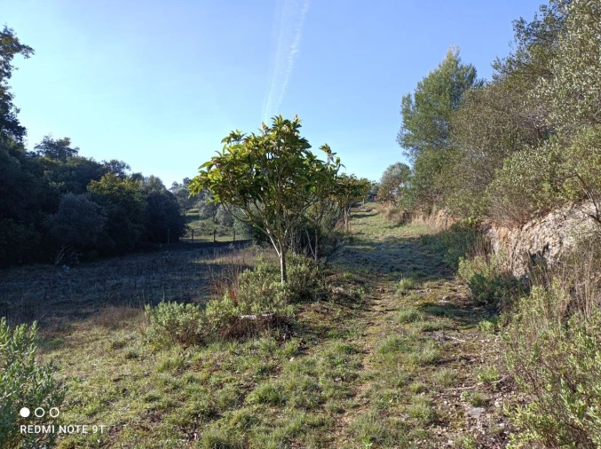 Terreno Misto para Venda em Zibreira Foto 4
