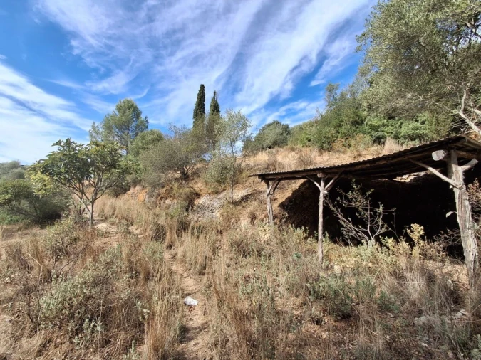 Terreno Misto para Venda em Zibreira Foto 9