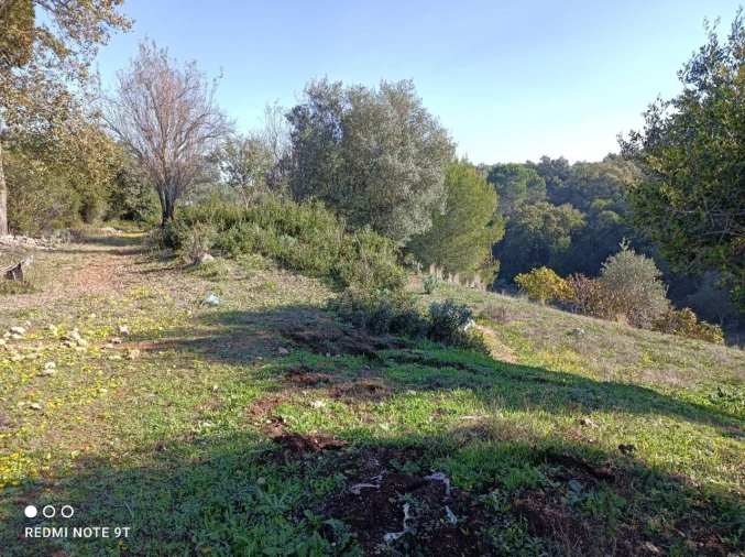 Terreno Misto para Venda em Zibreira Foto 19