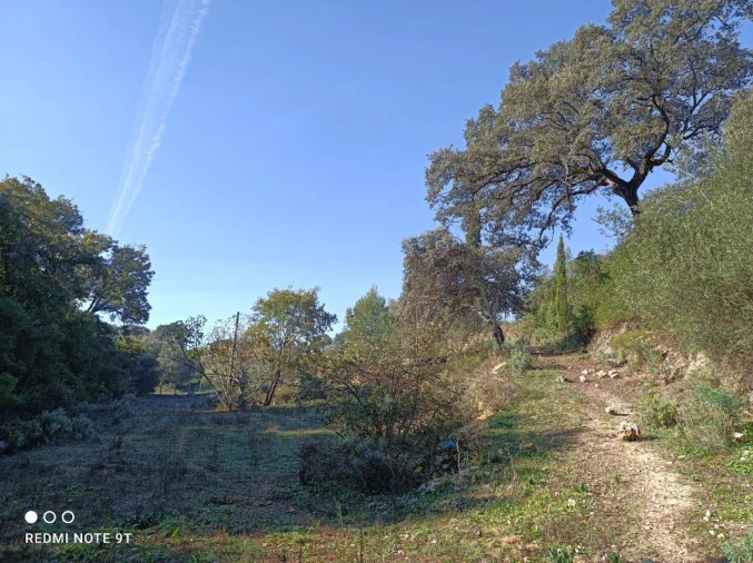 Terreno Misto para Venda em Zibreira Foto 22