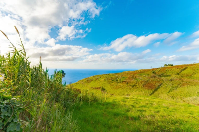 Moradia T2 para Venda em Ponta do Pargo Foto 27