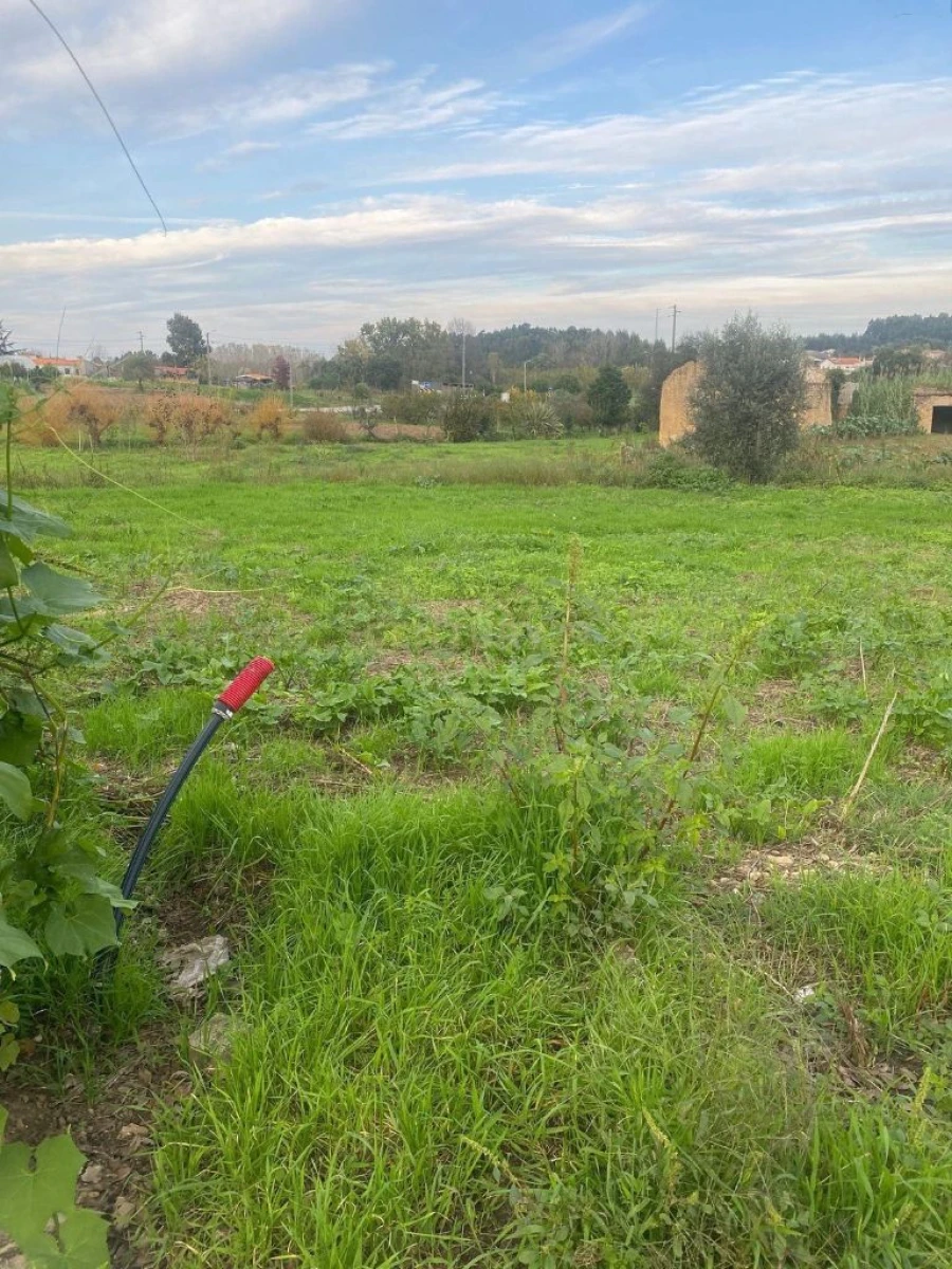 Moradia T2 para Venda em Sangalhos Foto 11