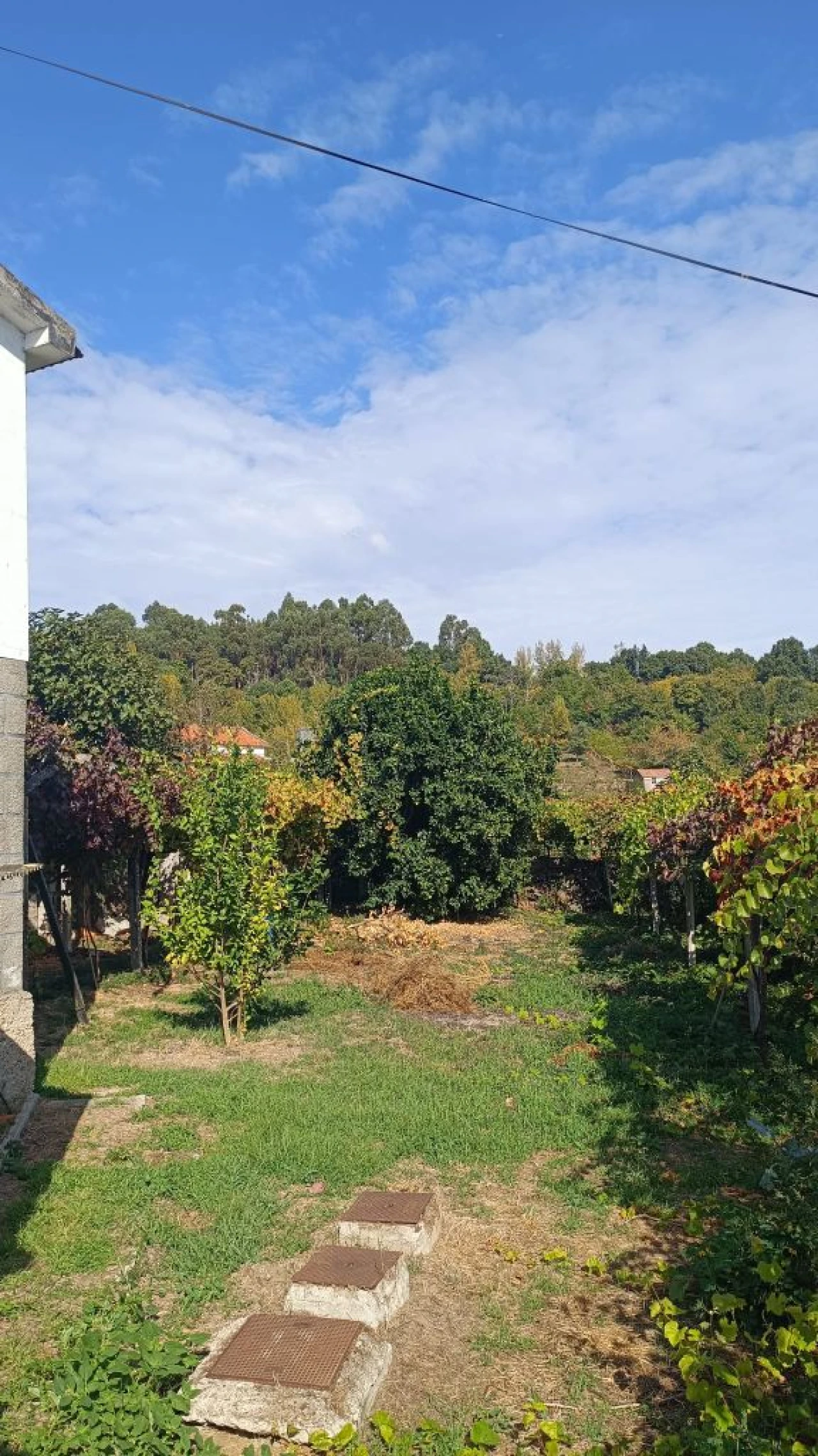 Moradia T4 para Venda em São Tomé de Covelas Foto 15