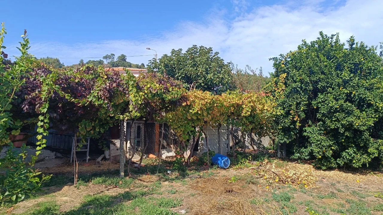 Moradia T4 para Venda em São Tomé de Covelas Foto 14