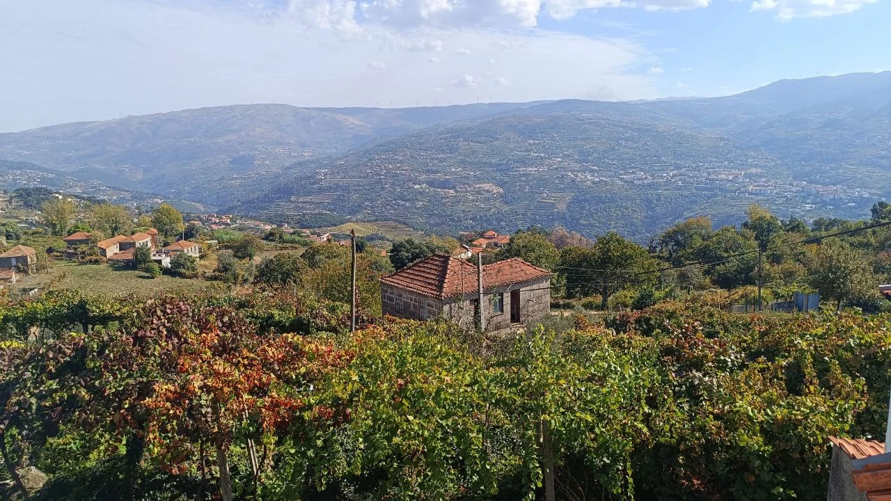 Moradia T4 para Venda em São Tomé de Covelas Foto 16