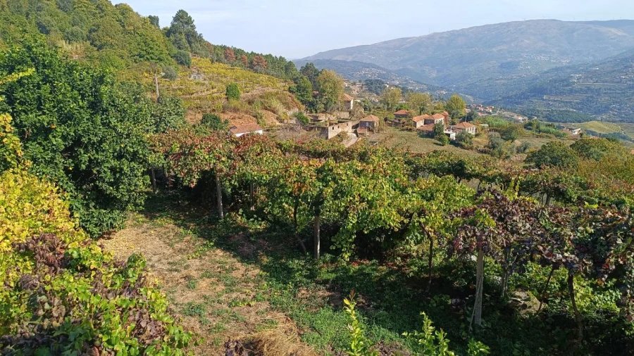 Moradia T4 para Venda em São Tomé de Covelas Foto 17