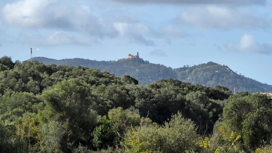 Terreno para Venda em Algueirão Foto 3