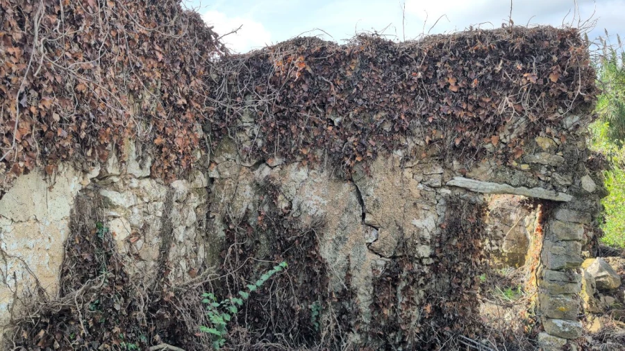Terreno para Venda em Algueirão Foto 7