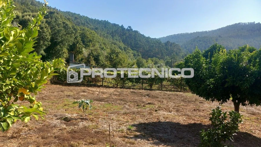 Moradia T3 para Venda em Ribança Foto 8