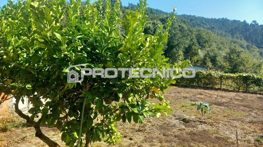 Moradia T3 para Venda em Ribança Foto 12