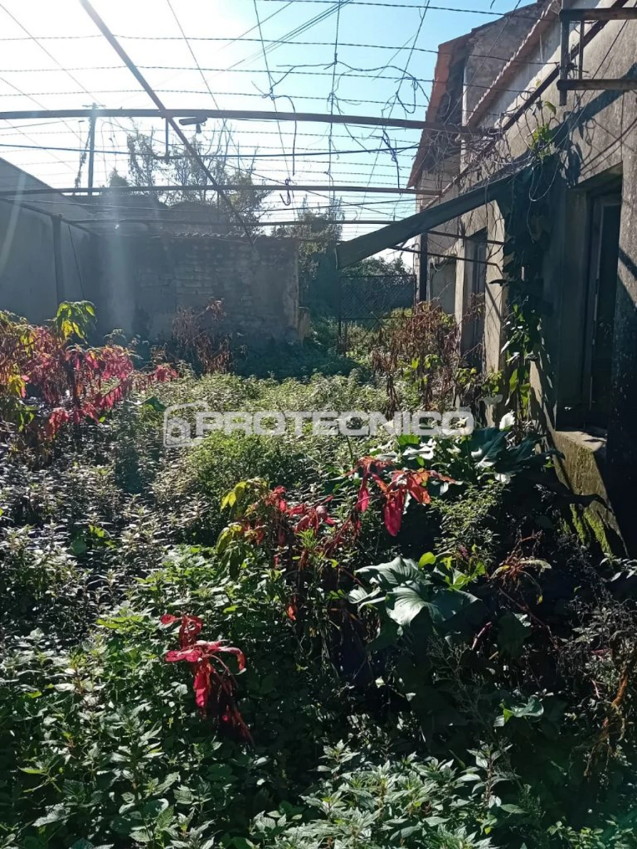 Moradia T4 para Venda em Aveiro Foto 1