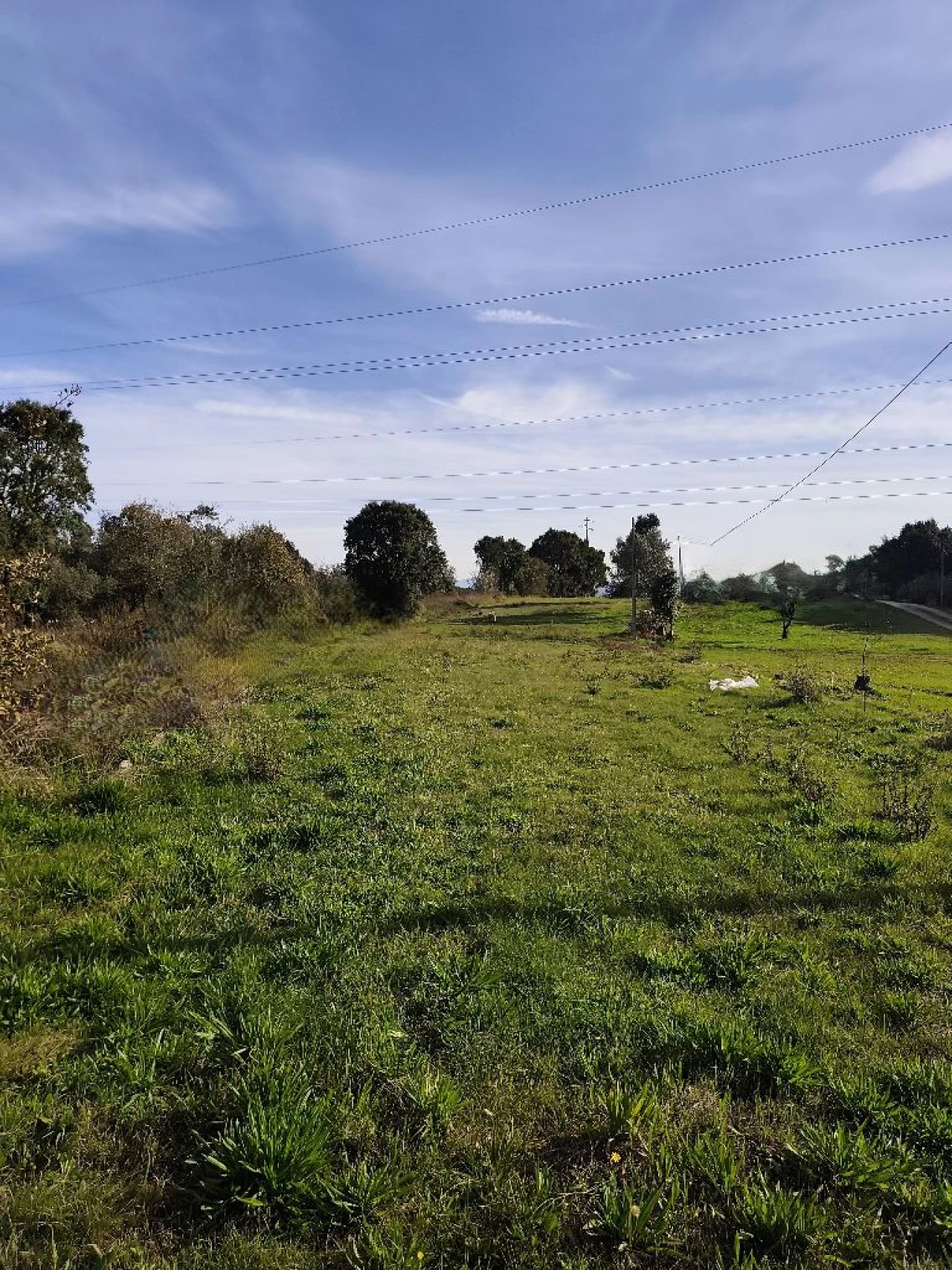 Terreno para Venda em Lameira de Cima Foto 1