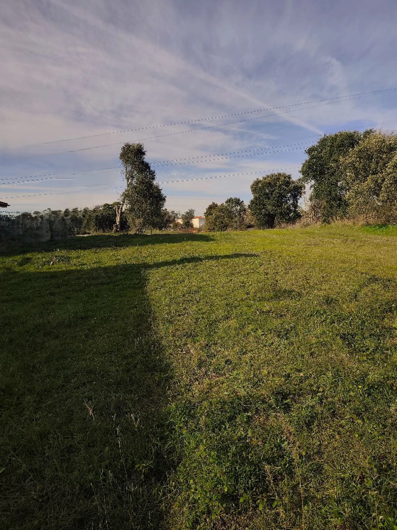 Terreno para Venda em Lameira de Cima Foto 4