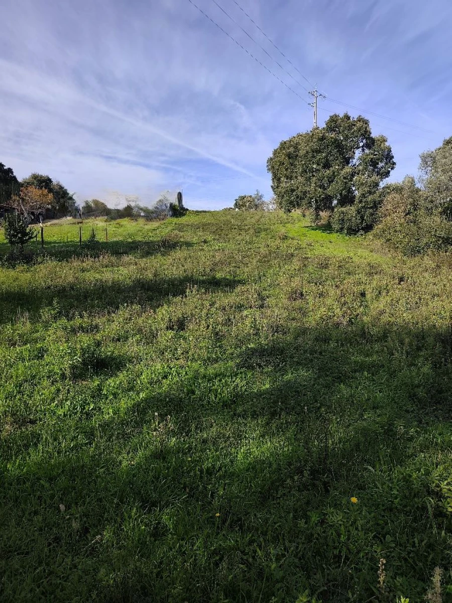 Terreno para Venda em Lameira de Cima Foto 6