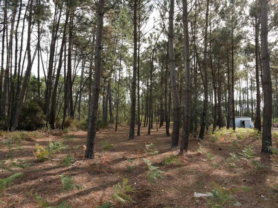 Moradia T3 para Venda em Coimbrão Foto 19