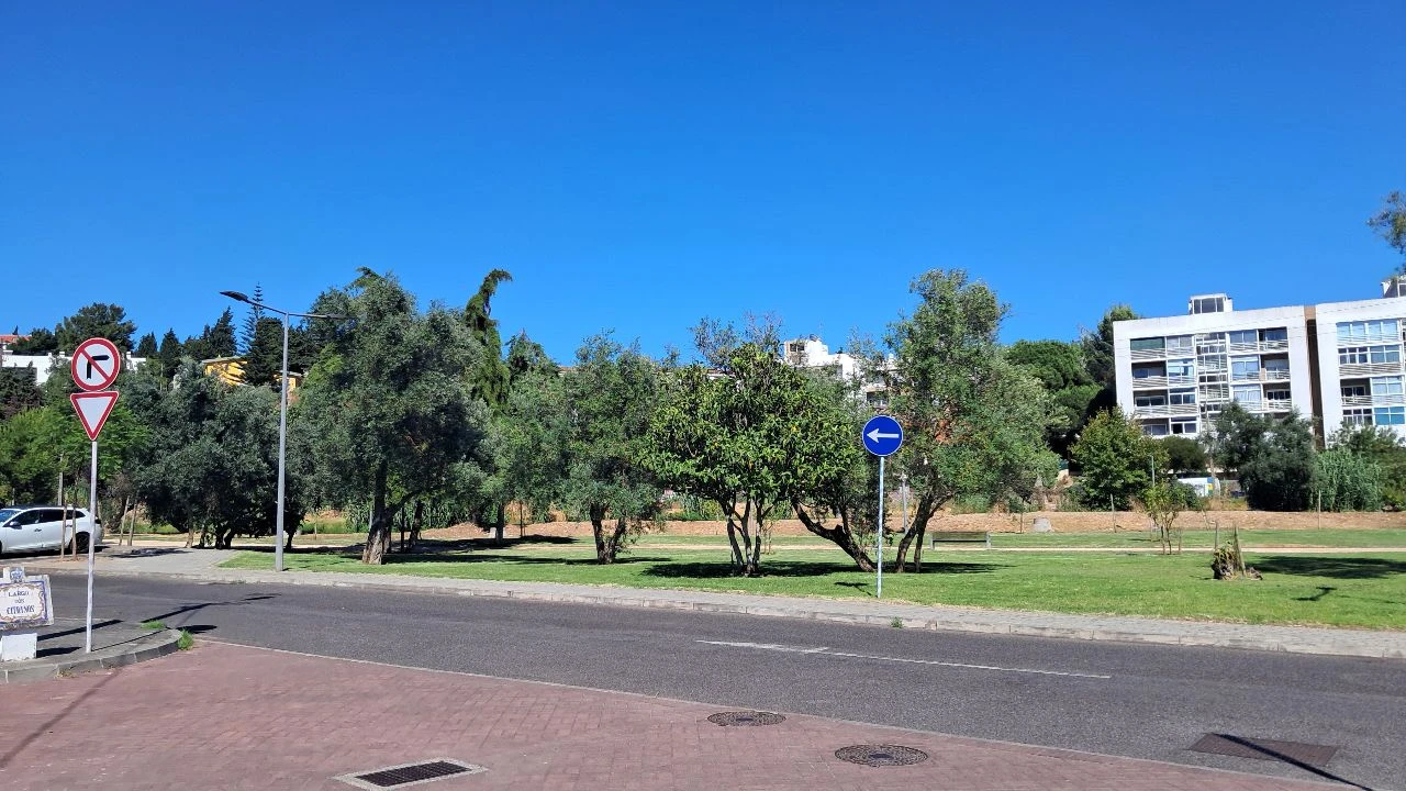 Terreno P/ Prédio para Venda em Laveiras Foto 3