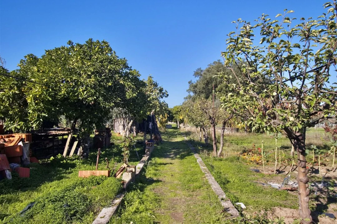 Quinta T2 para Venda em Carregueira Foto 11