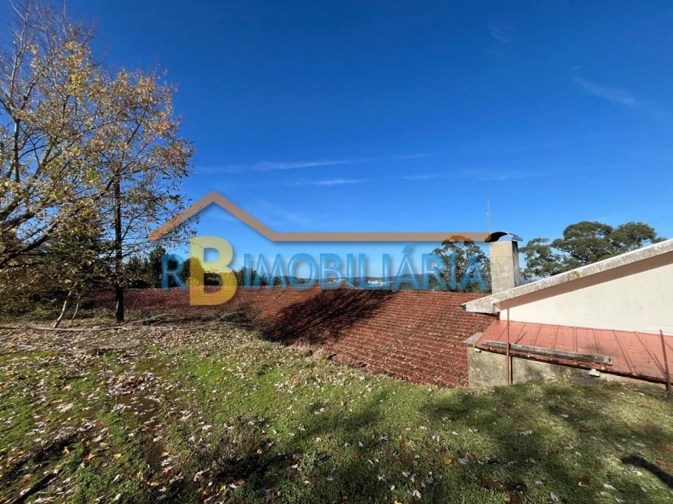 Quinta para Venda em Chave Foto 11