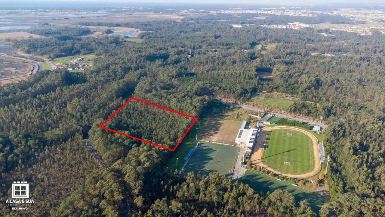 Terreno P/ Prédio para Venda em Avanca Foto 2