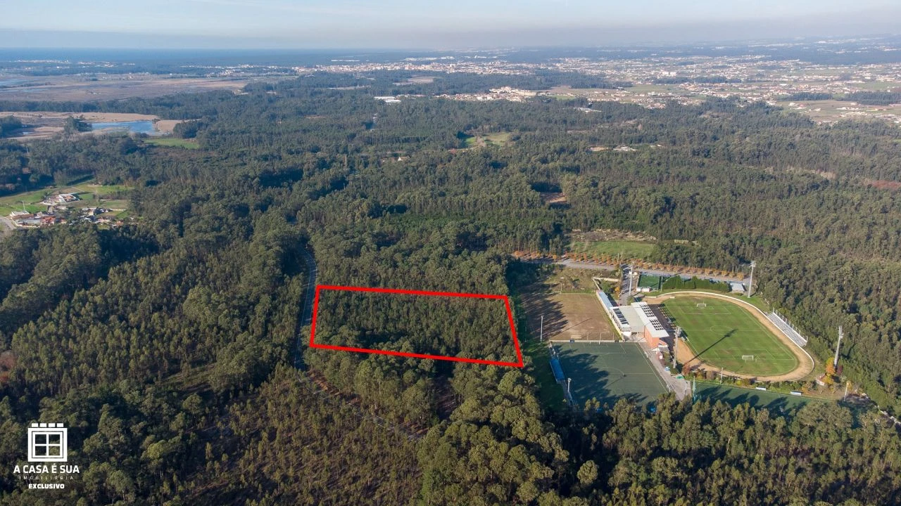 Terreno P/ Prédio para Venda em Avanca Foto 6