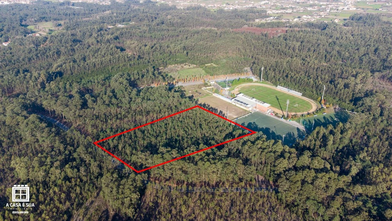 Terreno P/ Prédio para Venda em Avanca Foto 8