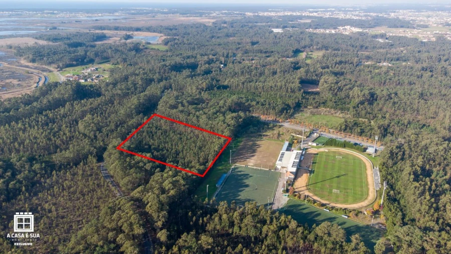 Terreno P/ Prédio para Venda em Avanca Foto 2