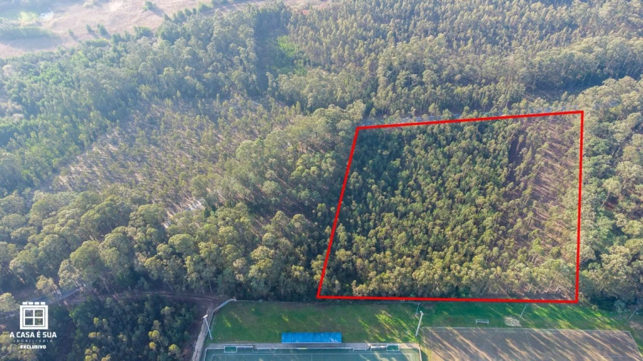 Terreno P/ Prédio para Venda em Avanca Foto 3