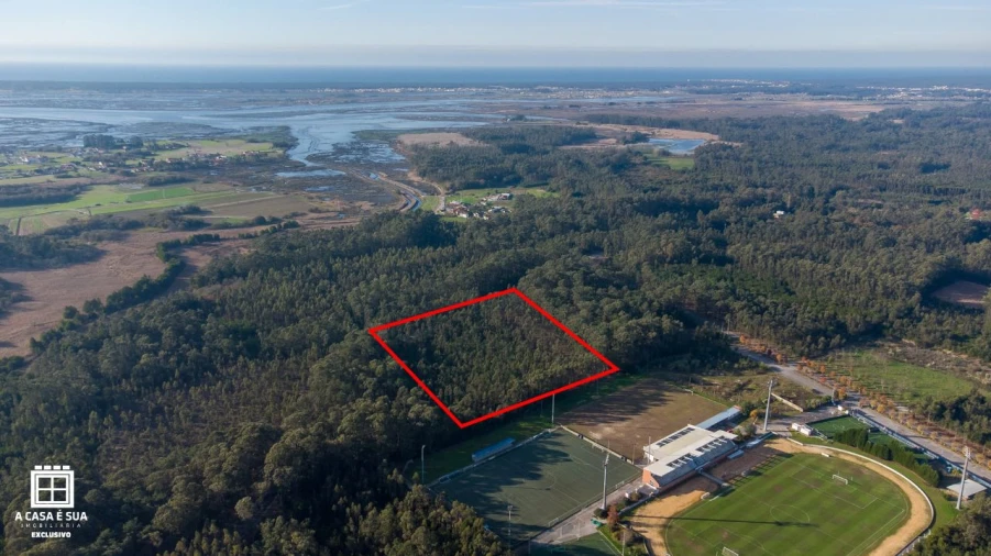 Terreno P/ Prédio para Venda em Avanca Foto 5