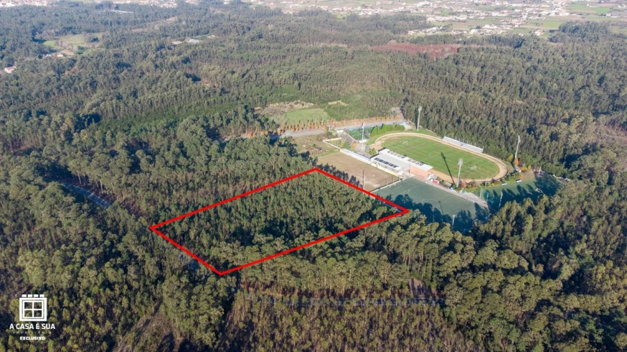 Terreno P/ Prédio para Venda em Avanca Foto 8