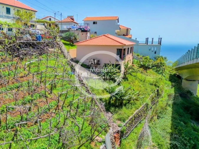 Moradia T3 para Venda em Estreito Câmara de Lobos Foto 3
