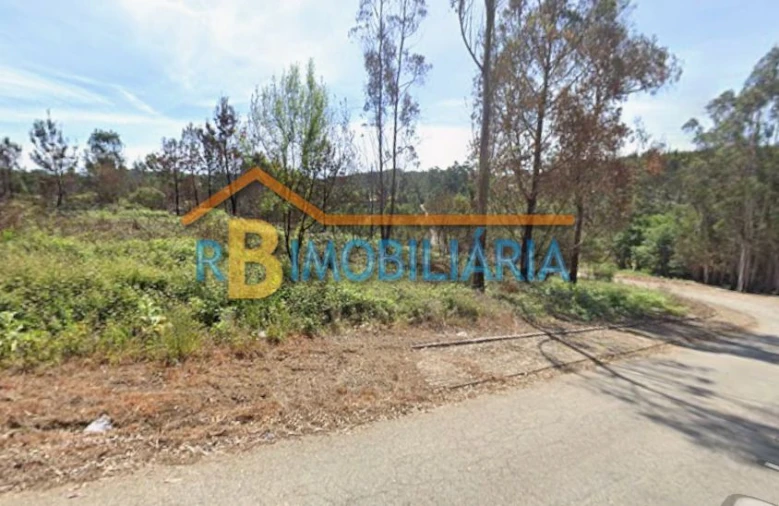 Terreno para Venda em Sandim Foto 1