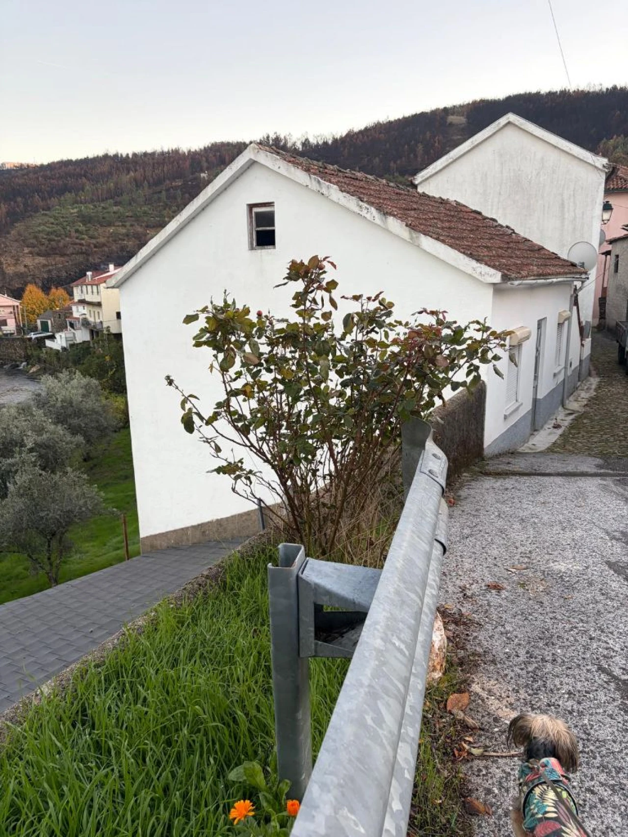 Moradia T2 para Venda em Unhais-o-Velho Foto 3