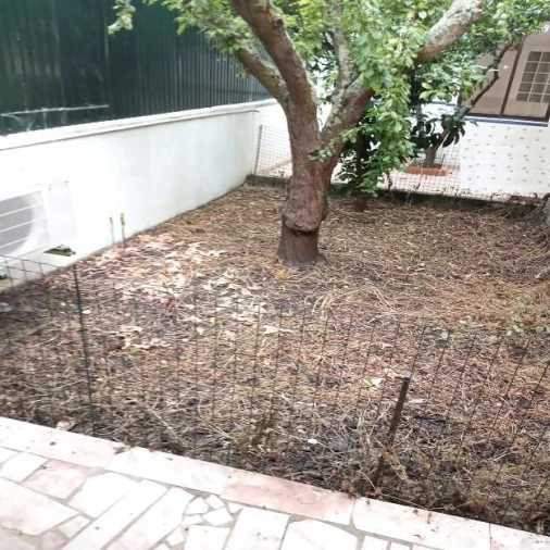 Moradia T2 para Arrendamento em Aroeira Foto 4